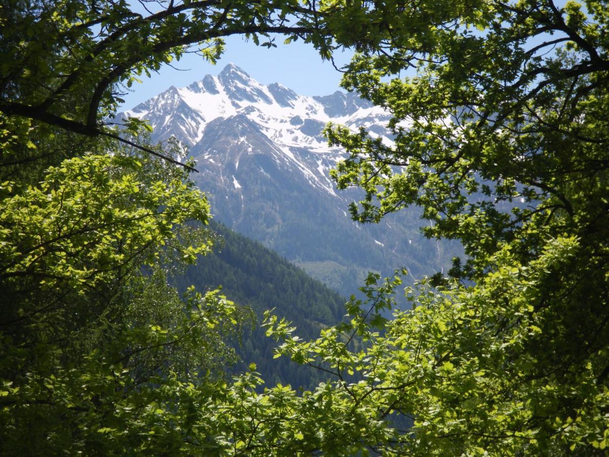Appart Burgwies Ink Nationalpark Sommercard ستلفلدن المظهر الخارجي الصورة