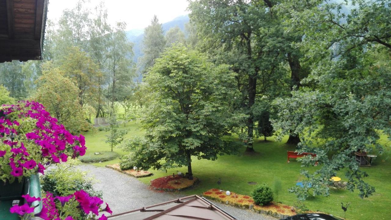 Appart Burgwies Ink Nationalpark Sommercard ستلفلدن المظهر الخارجي الصورة